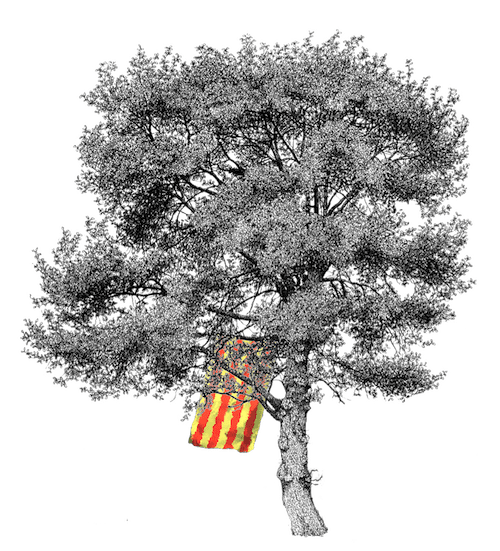 Arbre drapeau catalan