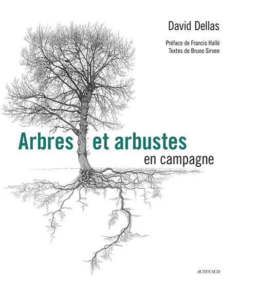 Arbres et arbustes en campagne David Dellas