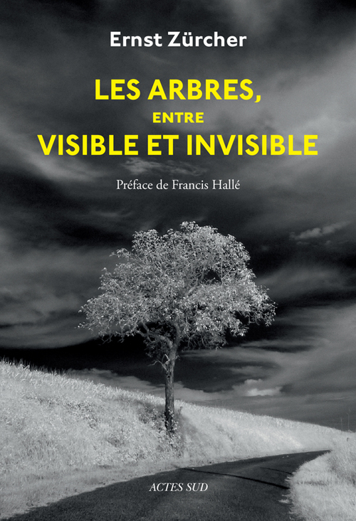 Les arbres entre visible et invisible Ernst Zürcher