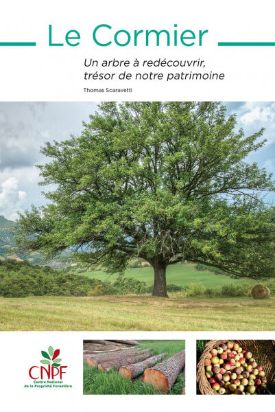 Le Cormier – Un arbre à redécouvrir, trésor de notre patrimoine Thomas Scaravetti